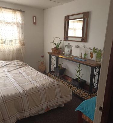 Chihuahua House | Habitacion Amatista