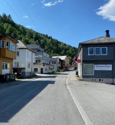 Surnadal House | Hammerstuene mat - og gjestehus