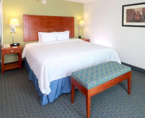 Reynosa Hotel | Hampton by Hilton Reynosa Zona Industrial