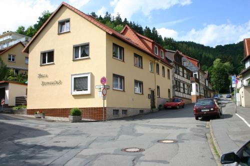 Bad Lauterberg Apartment | Haus-Kummeleck-Wohnung-2