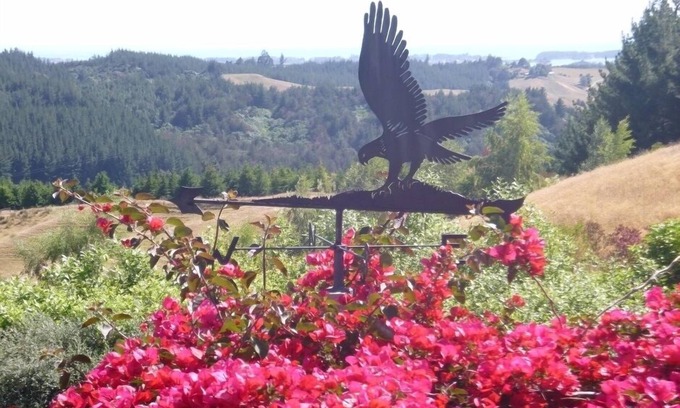 Redwood Valley Cottage | Hawk's Ridge - Redwood Valley
