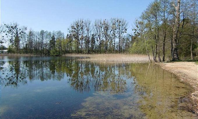 Muritz Apartment | Herberge Bluecherhof 2