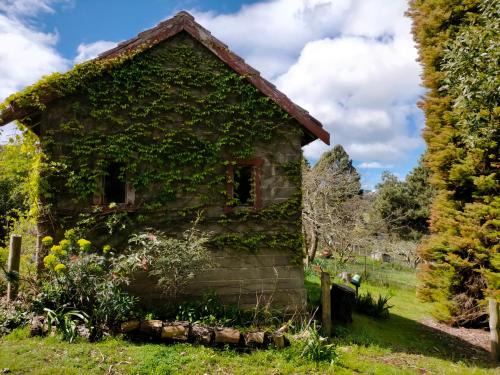 Penguin House | Hideaway Farmlet Romantic Cottage with Miniature Goats