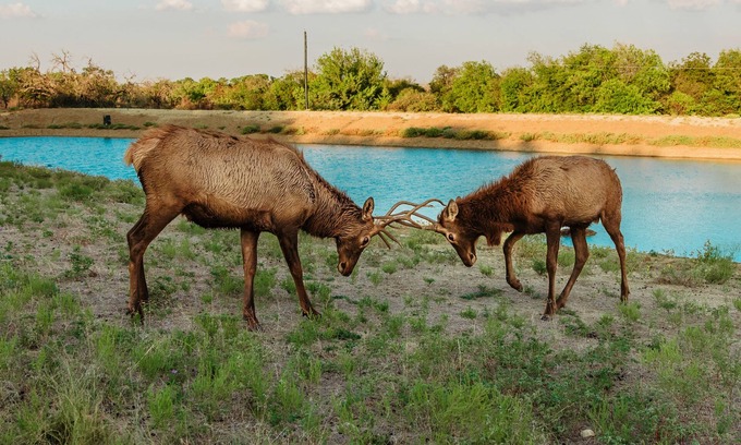 Springtown House | Hilltop lodge with spectacular views and roaming wildlife.