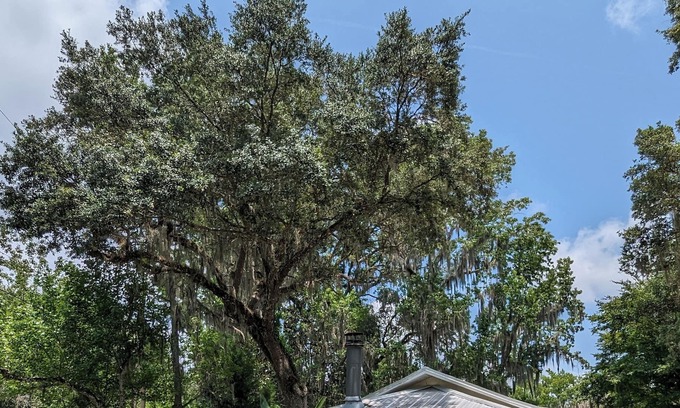 Homosassa Cottage | Historic Cottage minutes from the Homosassa River, Wildlife Park! Pet-friendly