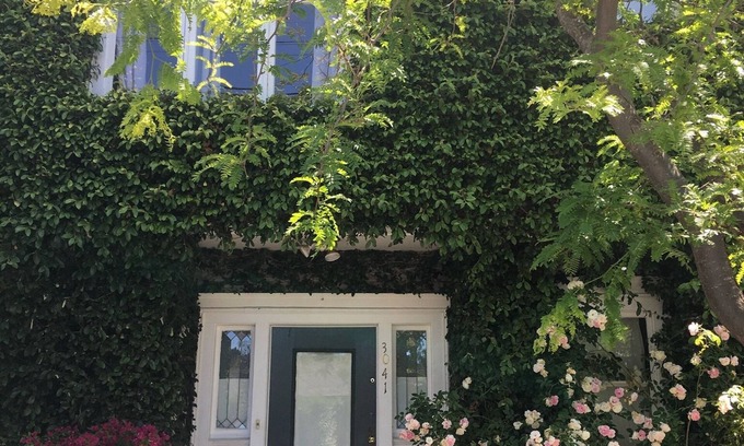 Elmwood House | Historic Edwardian 9 blocks to UC Berkeley Campus! 2 blocks to College Ave!