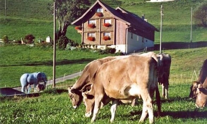 Flums Other | Holiday apartment Flumserberg Bergheim for 1 - 6 persons with 3 bedrooms - Farmhouse