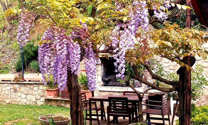 Albettone House | Holiday Home 'Villino San Silvestro' with Mountain View, Garden & Wi-Fi