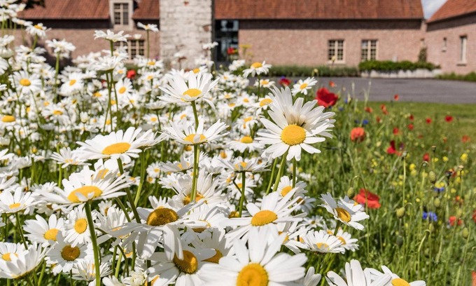 Rumbeke House | Holiday house Roeselare for 1 - 16 persons with 8 bedrooms - Holiday house