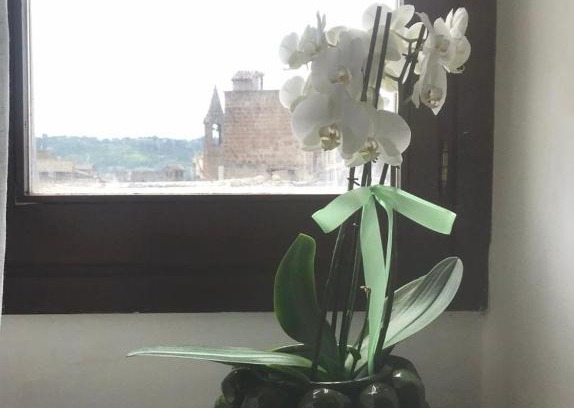 Orvieto House | Home l’archetto