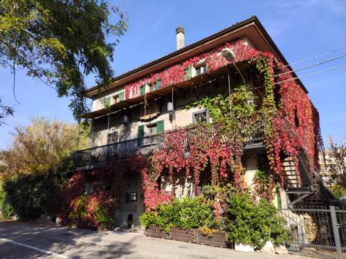 Noce Bed & Breakfast | Home Story Via della Resistenza 3 La Noce Mercatale Ozzano dell'Emilia BO