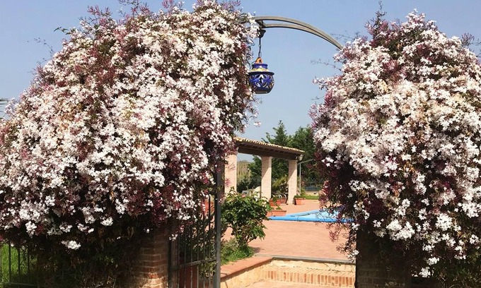 Grammichele Apartment | Homerez - Beautiful studio for 2 ppl. with shared pool at Grammichele