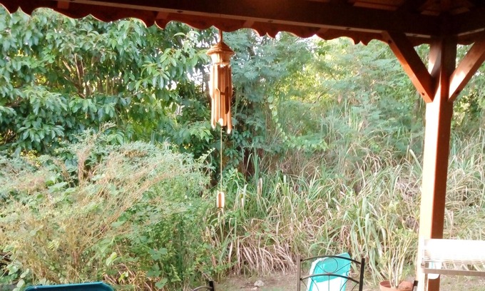 Mare Gailard House | Homerez - Bungalow 3 km away from the beach for 2 ppl. with terrace at Le Gosier