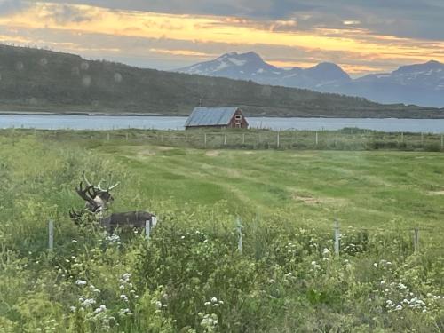 Lyngen House | Hos Laura & Valdemar