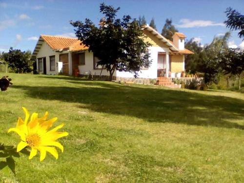 Villa de Leyva House | Hospedaje y Zona de Camping Pistacho