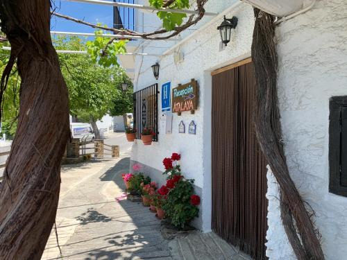 Capileira House | Hostal Atalaya en Capileira CB