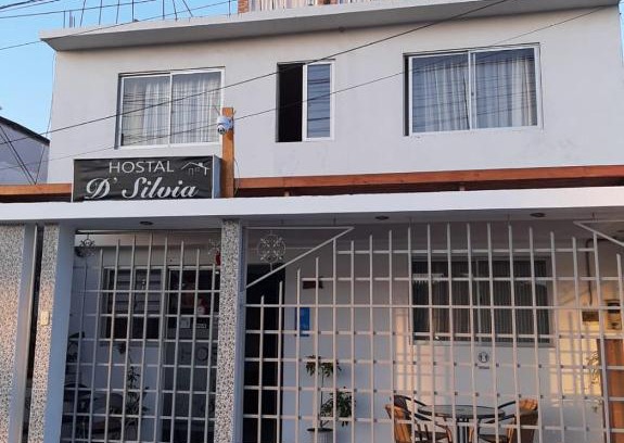 Arica Bed & Breakfast | Hostal D' Silvia