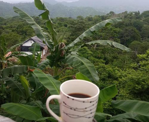 Canaveral Hotel | HOSTAL MIRADOR dentro del parque tayrona