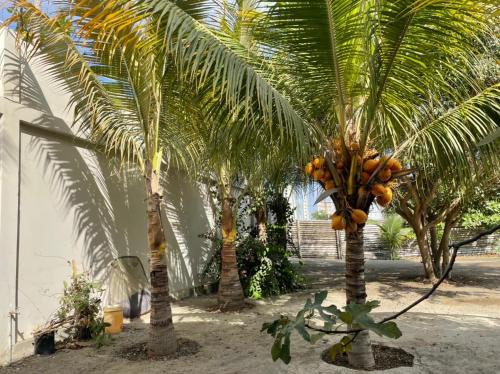 Ecuadorian Amazon House | Hostal Terramar Salinas