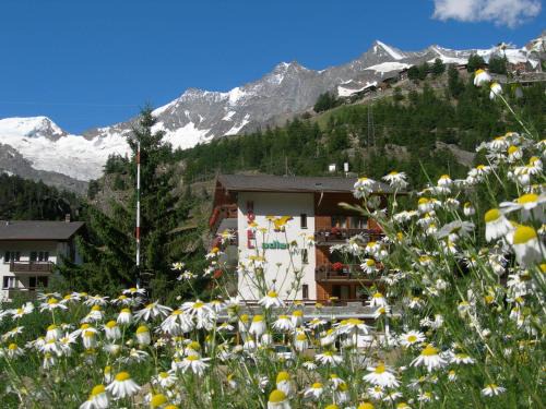 Saas Grund Hotel | Hotel Adler