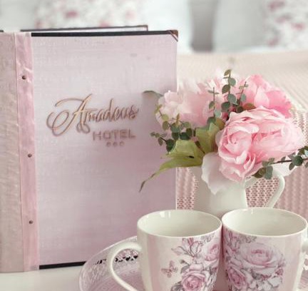 Ceske Budejovice Hotel | Hotel Amadeus