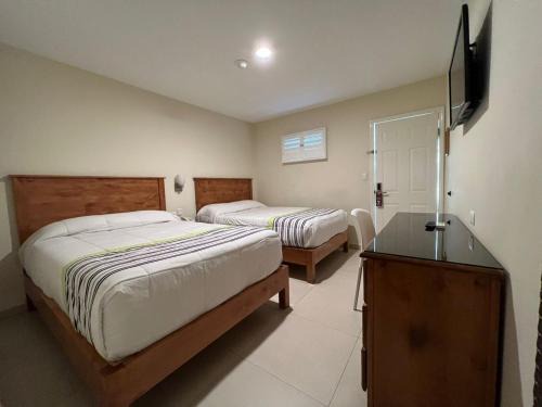 Avenida Revolucion Hotel | Hotel Baja