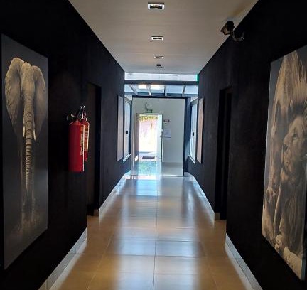 Primavera do Leste Hotel | Hotel Barril