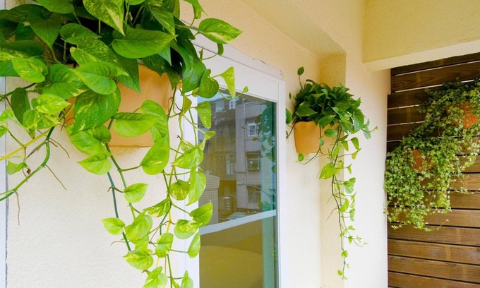 Banqiao Hotel | Hotel Color