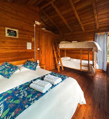 Mindo Hotel | Hotel El Abrazo del Arbol