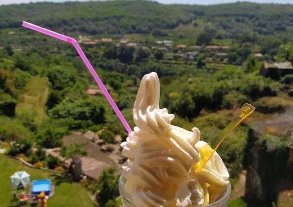 Los Pinos Hotel | Hotel El Yedron