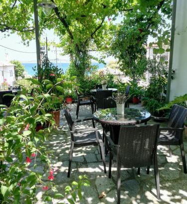 Zagora-Mouresi House | Hotel Erato