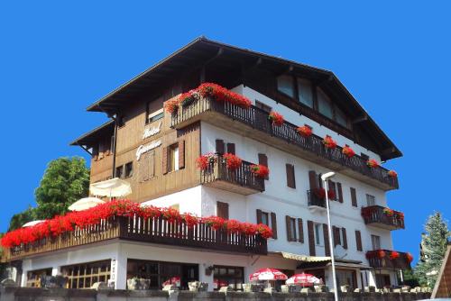 Pieve di Cadore Hotel | Hotel Giardino