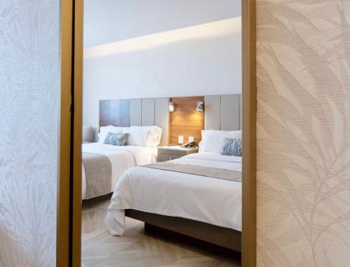 Zona Minerva Hotel | Hotel Plaza Diana