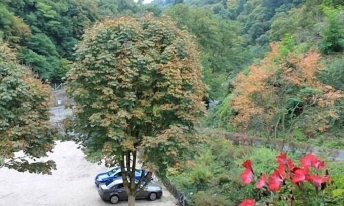 Cochem Hotel | Hotel Winneburg