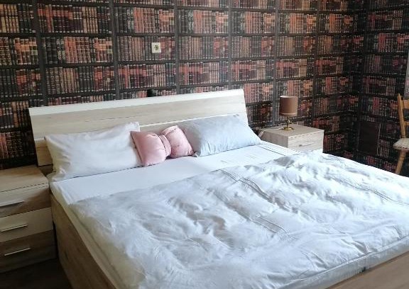 Mainz-Bingen House | Hotelzimmer im alten Reihenhaus auf der Stadtmauer