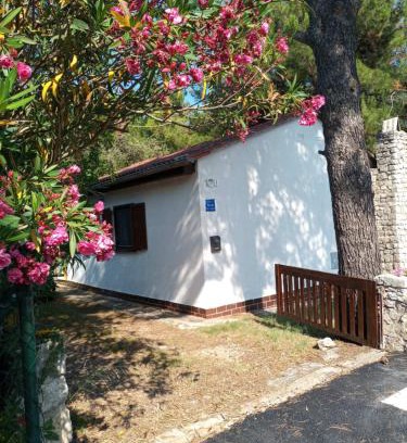 Artatore House | House Jasmina