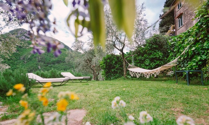 Camaiore House | House with a view of olive trees, walnuts and laurels.