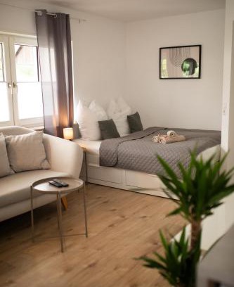 Wiesloch Apartment | HUGOS Studio Apartment