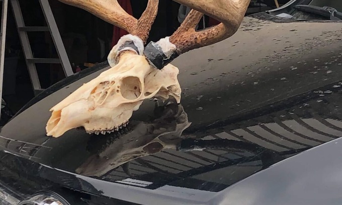 Ridgway Cabin | HUNTING: Nice Quiet 3-bedroom cabin in Ridgway, on top of 2,200ft Bootjack Mtn.