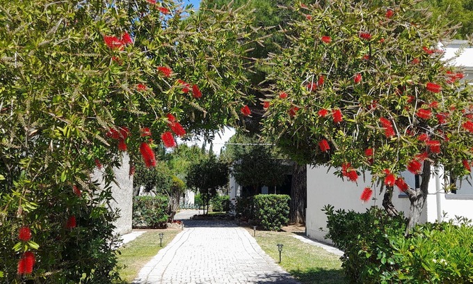 Follonica Resort | Ibiscus Beach Village