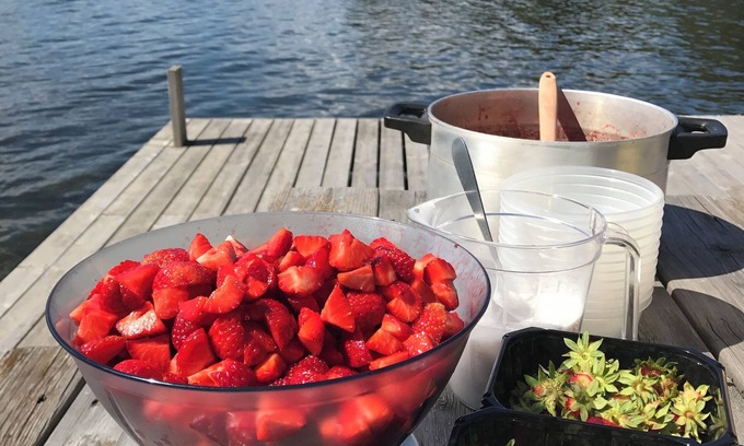 Hamar Municipality Cabin | Idyllic Summer Resort on the Waterfront at the Lake. Rowing Boat and Evening sun