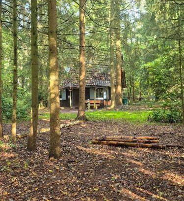 Sandhatten House | Idyllisch & ruhig - gemütliches Ferienhaus im Wald Hunde willkommen, in Hatten, nahe Oldenburg