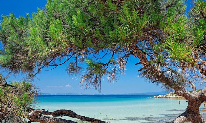 Gerakini Resort | Ikos Olivia - All Inclusive