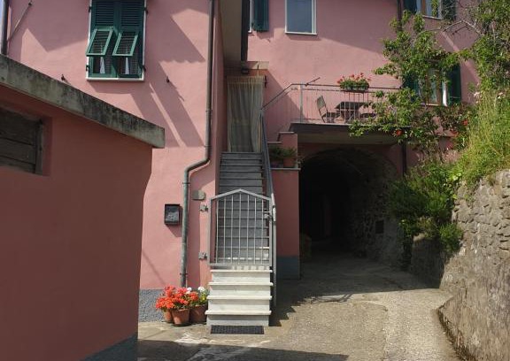 Isola House | Il Regno di Palmira