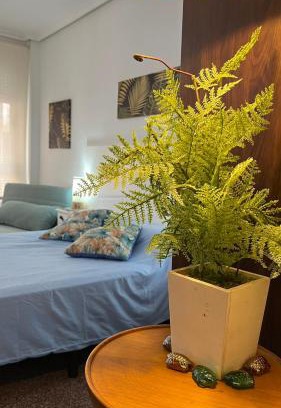 Campoamor Apartment | ILVE Apartment