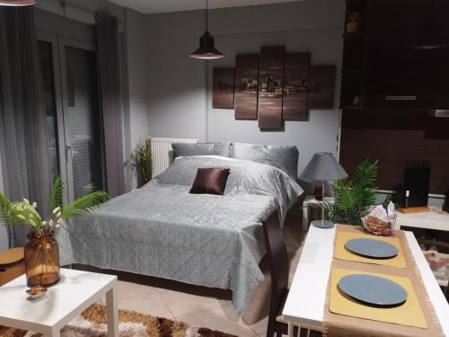 Ioannina Apartment | Ioannina City Studios 1