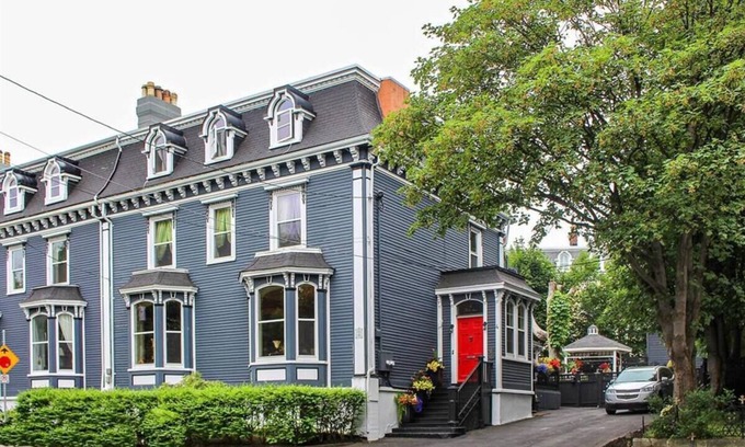 Downtown St. John's Apartment | Jelly Bean Manor Apartment