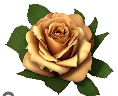 Levada House | JF House