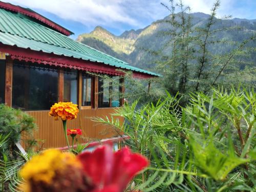 Banjar House | jibhi mountain retreat