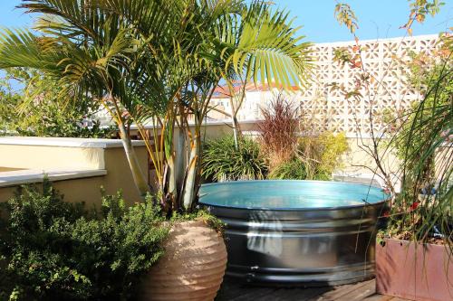 Jaffa Apartment | Jungle in Town - Central Jaffa
